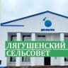 MAX-канал Администрация Лягушенского сельсовета Купинского района Новосибирской области