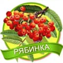 Канал МАДОУ №16 "Рябинка" в MAX