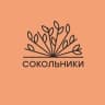 MAX-канал Парк «Сокольники»