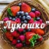 MAX-канал МАДОУ "Детский сад 77" "ЛУКОШКО"