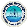 MAX-канал МОРСКИЕ ПРОГУЛКИ НА КАМЧАТКЕ
