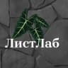 MAX-канал ЛистЛаб