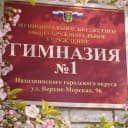 Канал МАОУ "Гимназия 1" НГО в MAX