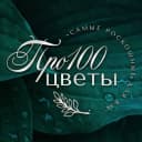 Канал Цветы Белгород доставка 24ч в MAX