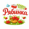 MAX-канал МАДОУ детский сад №27 "Рябинка" г. Белебея