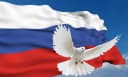 Канал Северодвинская гимназия №14 в MAX