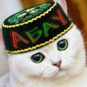 Канал Абау в MAX