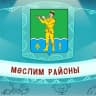 MAX-канал МБУ "Районный дом культуры"