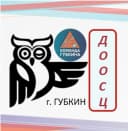 Канал Детский спортивный центр (ДООСЦ) в MAX