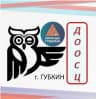 MAX-канал Детский спортивный центр (ДООСЦ)