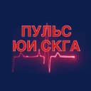 Канал Пульс ЮИ СКГА в MAX