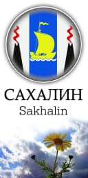 Канал САХАЛИН SAKHALIN в MAX