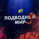 Канал Подводный мир l Океан l Море в MAX