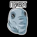 Стикеры Набор стикеров Ждун в MAX