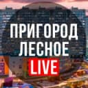 Канал Пригород Лесное LIVE в MAX