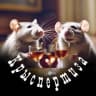 MAX-канал Крыспертиза