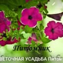 Канал ЦВЕТОЧНАЯ УСАДЬБА Питомник в MAX