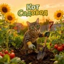 Канал Дача цветы огород. Кот садовод в MAX