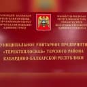 Канал МУП "ТЕРЕКТЕПЛОСНАБ" в MAX