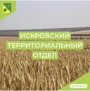 Канал Искровский территориальный отдел администрации Буденновского муниципального округа в MAX