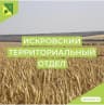 MAX-канал Искровский территориальный отдел администрации Буденновского муниципального округа