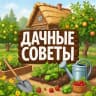 MAX-канал Дачные советы | Сад | Огород
