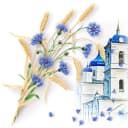 Канал Администрация Репьёвского сельского поселения Репьёвского муниципального района в MAX