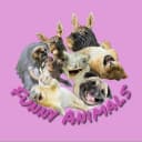 Канал Funny Animals -животные, смешные животные, смешные видео, юмор, приколы, собаки, кошки, обезьяны. в MAX