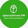 MAX-канал ЦветыОптом.РФ