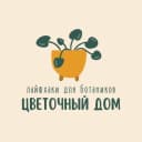Канал 🪴 Цветочный дом • Комнатные растения в MAX