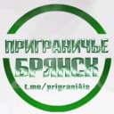 Канал Приграничье Брянск в MAX