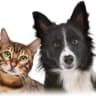 MAX-канал Котики ЮМОР для настроения + Советы Лайфхаки Выкройки