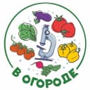 Канал В Огороде в MAX