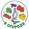 MAX-канал В Огороде