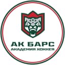 Канал Академия хоккея «Ак Барс» в MAX