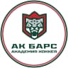 MAX-канал Академия хоккея «Ак Барс»
