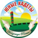 Канал МБДОУ №247 в MAX