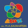 MAX-канал ДШИ им. М.А. Балакирева г. Ярославля