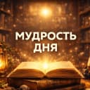 Канал Книги в MAX