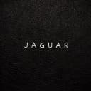 Канал J A G U A R в MAX