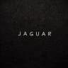 MAX-канал J A G U A R