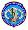 MAX-канал Амурский минлес