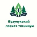 Канал Бузулукский лесхоз-техникум в MAX