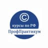 MAX-канал УЦ "ПрофПрактикум"
