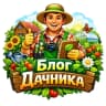 MAX-канал Блог дачника