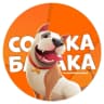 MAX-канал Собака бабака