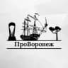 MAX-канал Про Воронеж (Новости Воронежа и области)