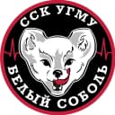 Канал ССК УГМУ "Белый соболь" в MAX
