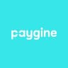 MAX-канал Paygine: финтех для бизнеса и людей