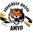 Канал Amurschool27 в MAX